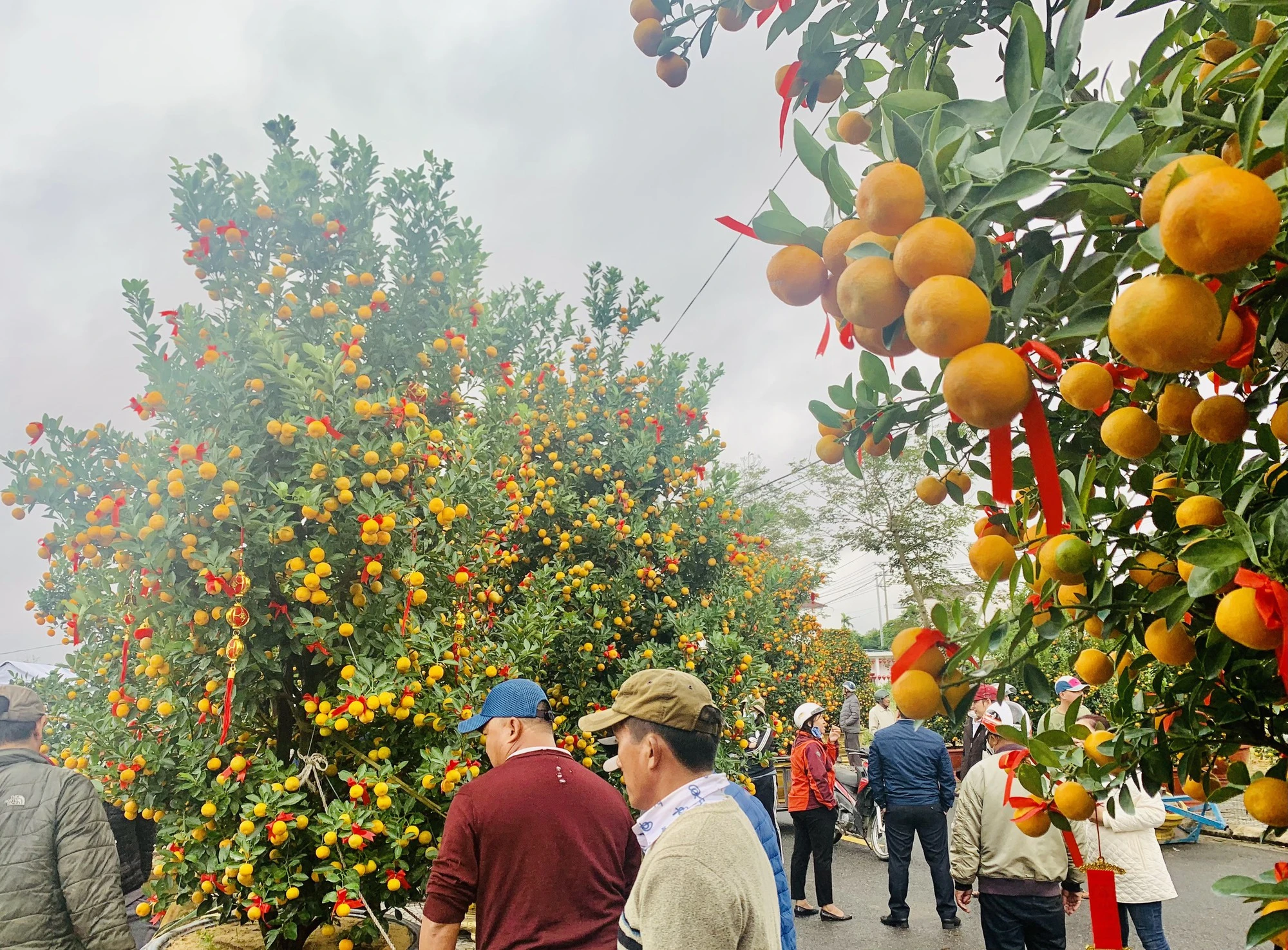 Tet Holiday 2026: Your Best Guide to Vietnamese New Year 18 full experience in vietnamese tet holiday 15ig