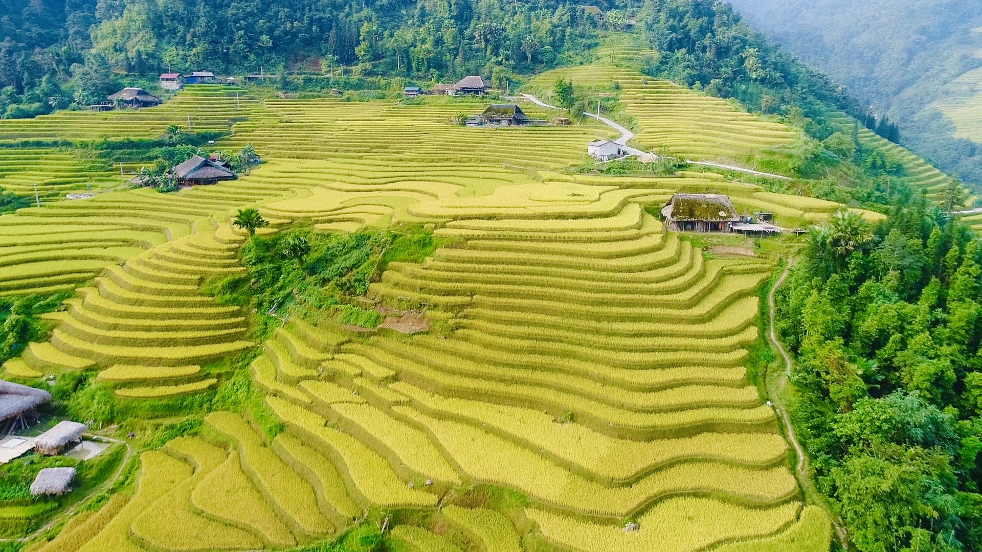 ha giang loop the ultimate first timers guide 2025 43oY