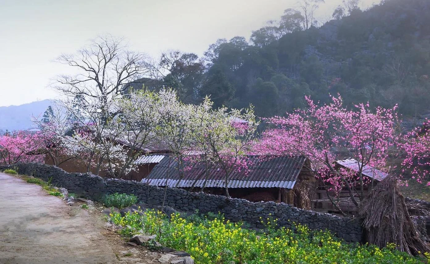 ha giang loop the ultimate first timers guide 2025 F5vy