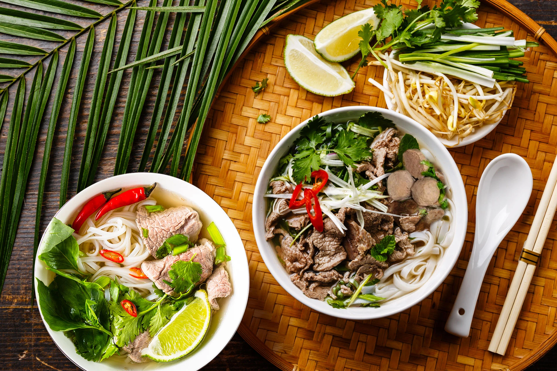 The Great Pho Debate: Northern Versus Southern Pho | Asian Inspirations