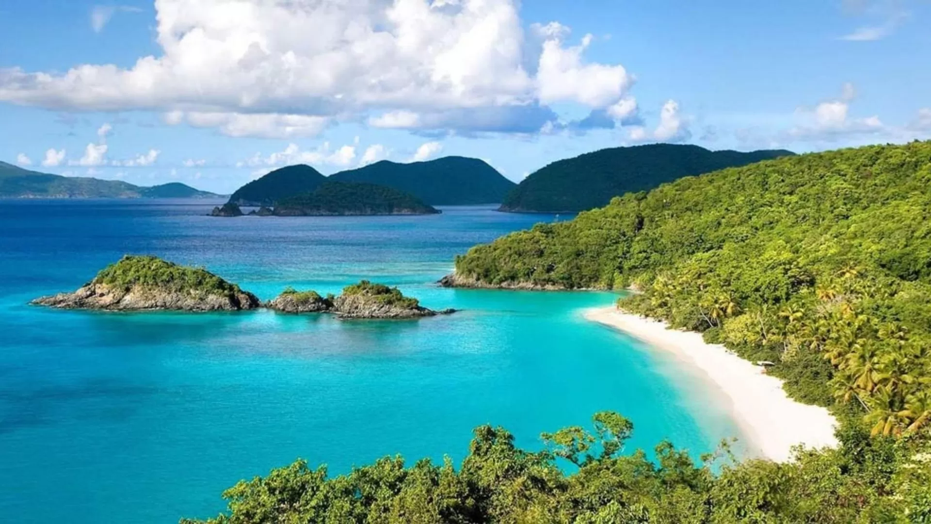 The Best Beaches in Vietnam: An Ultimate Guide for 2025 16 How to travel to Con Dao island: A complete guide