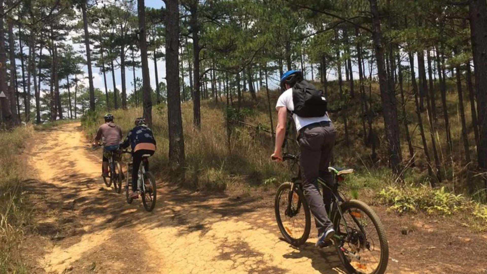 Visit Da Lat: Explore the best of nature and adventure