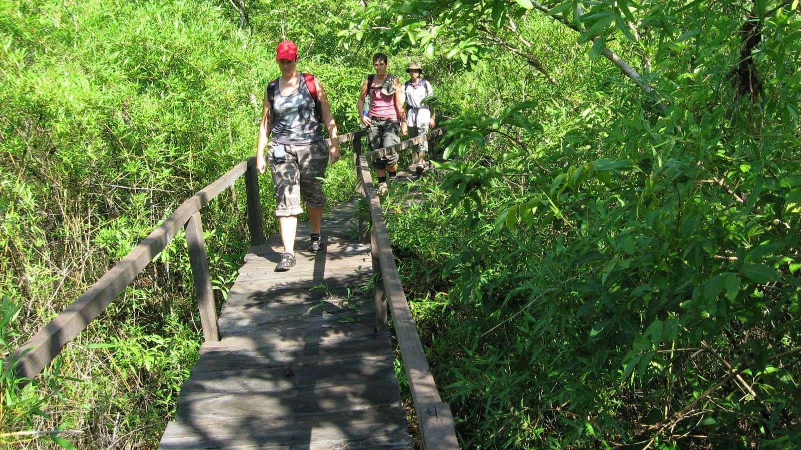 Cat Tien National Park Vietnam - Nam Cat Tien Park