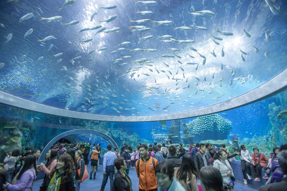 National Oceanographic Museum – Discover an ocean paradise