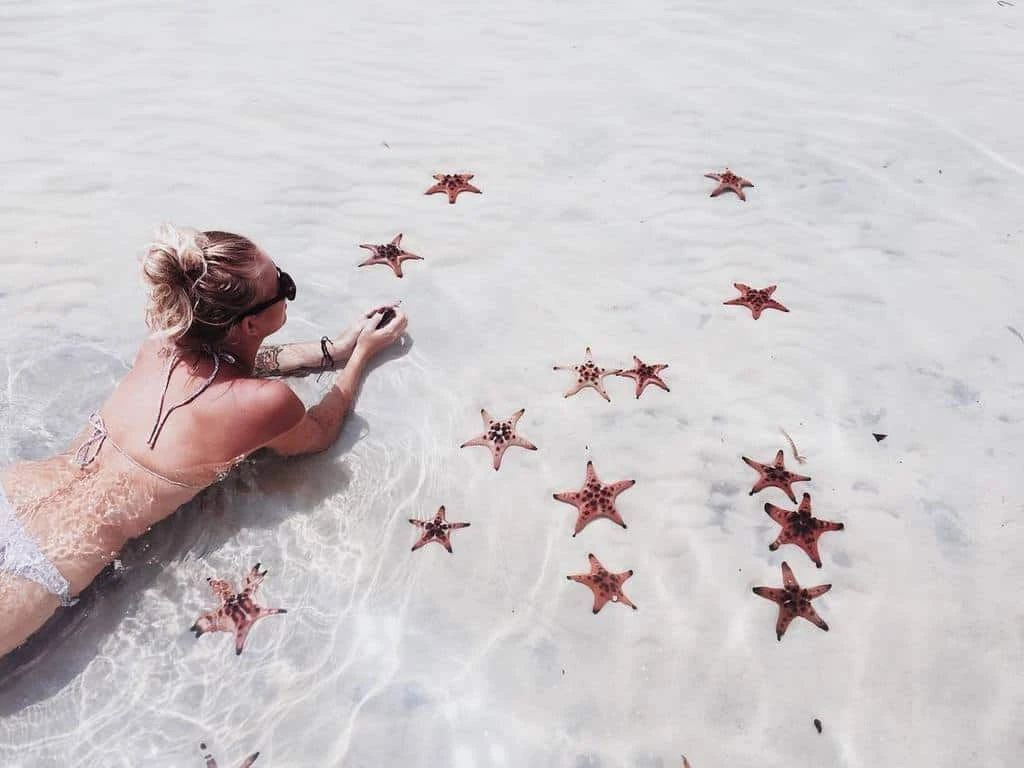 The Beauty of Starfish Beach: A Tropical Heaven in Phu Quoc