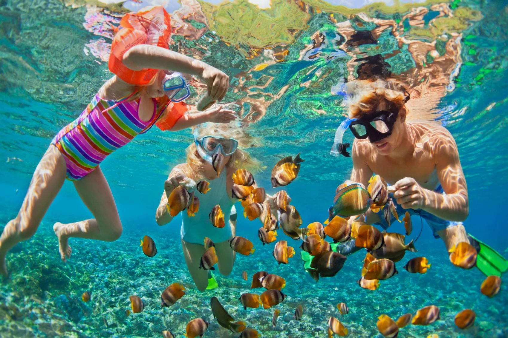 Phu Quoc snorkeling: Guides for beginners and non-beginners