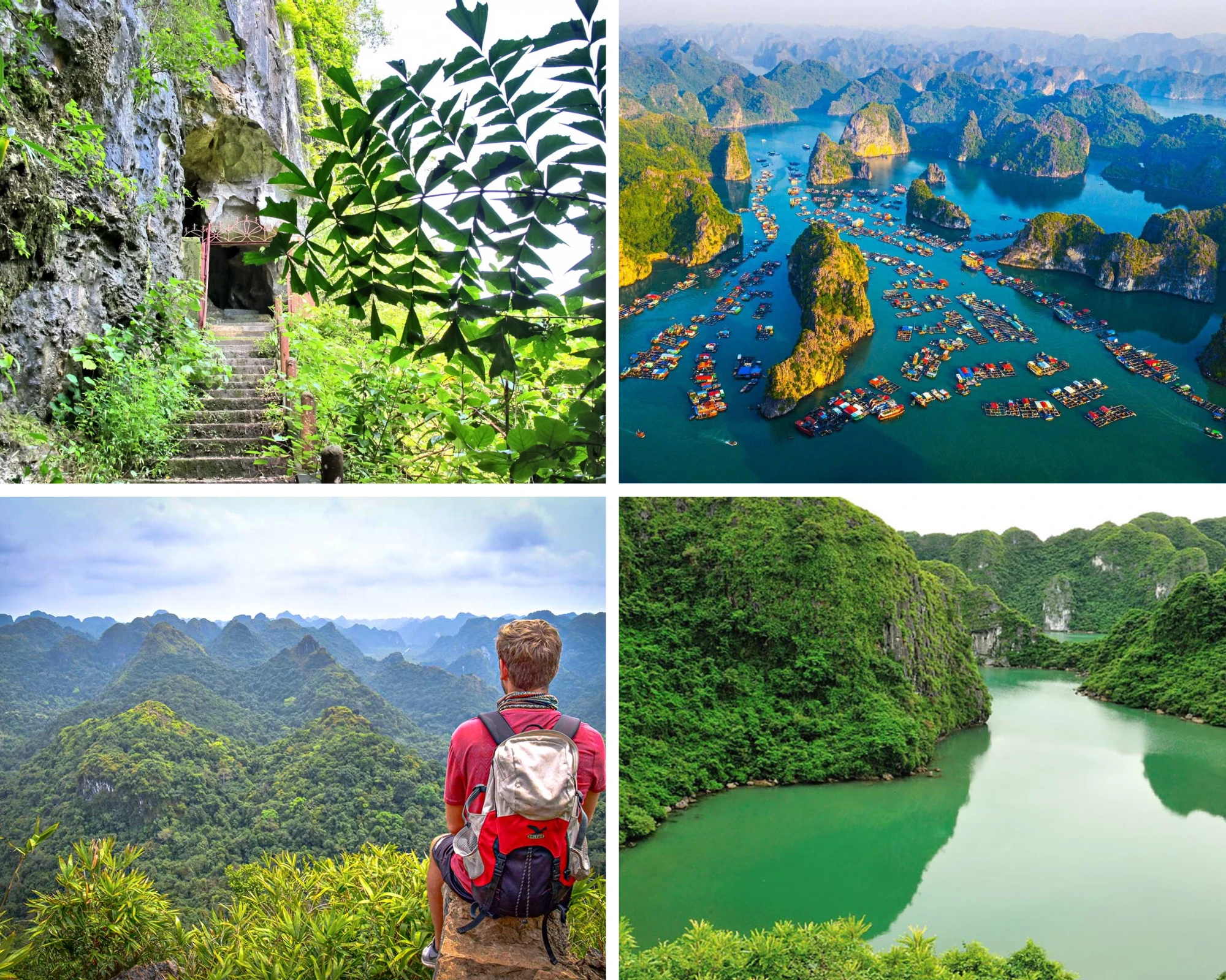 Cat Ba National Park: Wigo Tourist's 2025 Adventure Guide 71 Cat Ba National Park: Wigo Tourist’s 2025 Adventure Guide