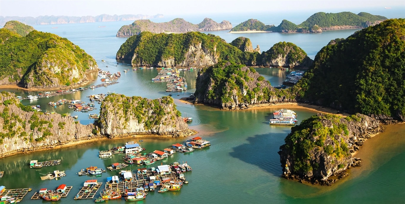 Cat Ba National Park: Wigo Tourist's 2025 Adventure Guide 5 Unveil The Primitive Viet Hai Village - Ambassador Cruise