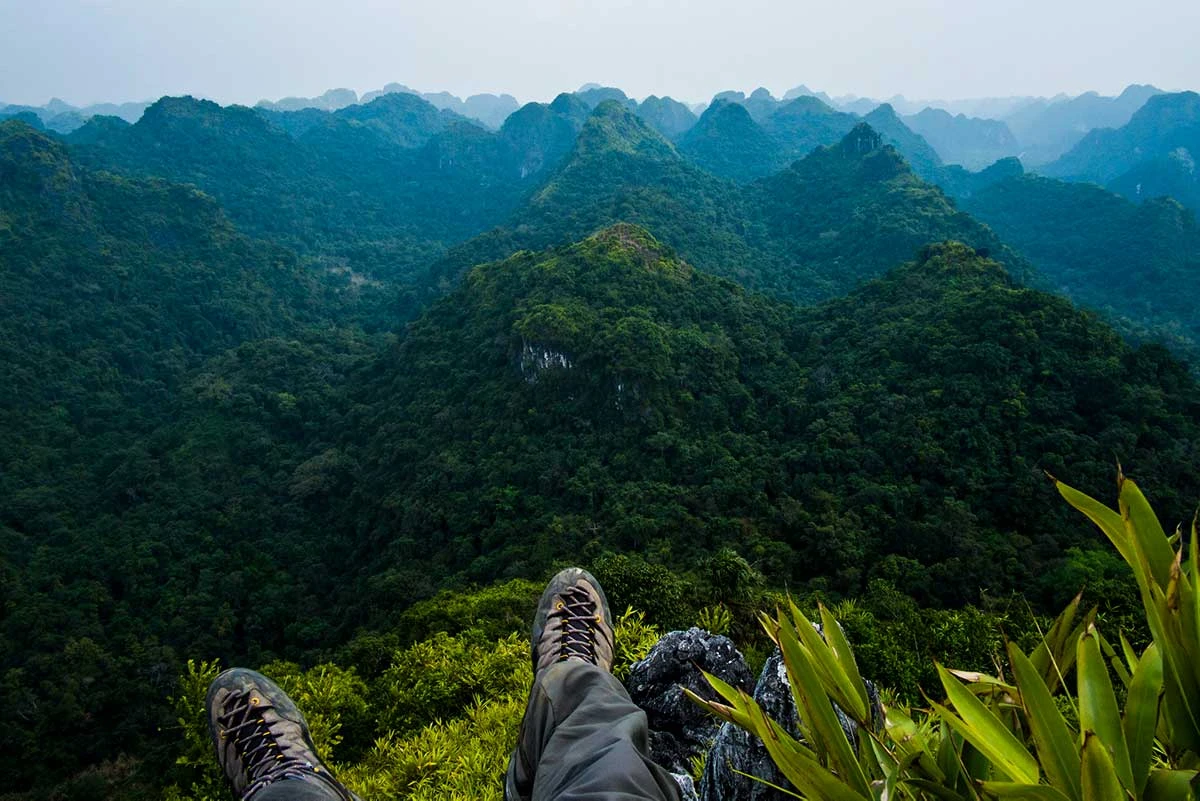 Cat Ba National Park: Wigo Tourist's 2025 Adventure Guide 7 Cat Ba National Park - A complete travel guide | Local Vietnam