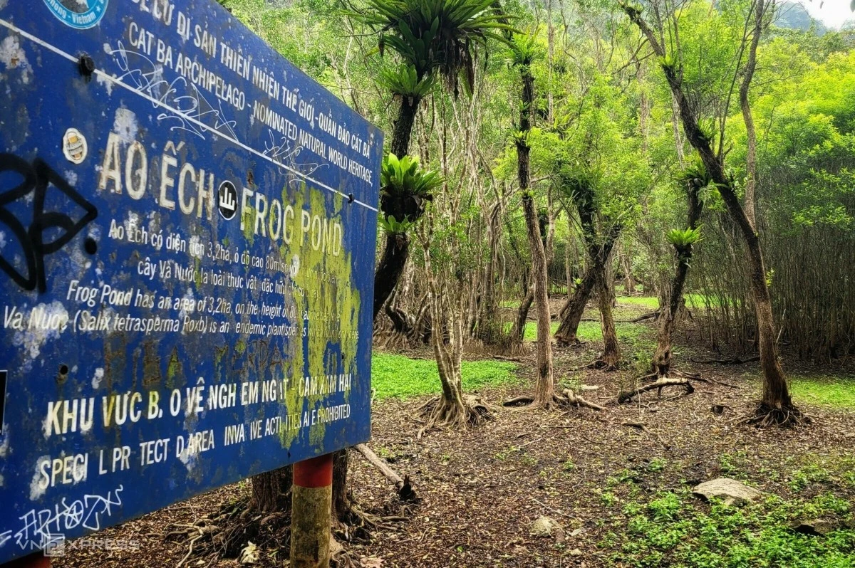 Cat Ba National Park: Wigo Tourist's 2025 Adventure Guide 4 A day in the wild: trekking through Cat Ba National Park - Quang Ninh Online