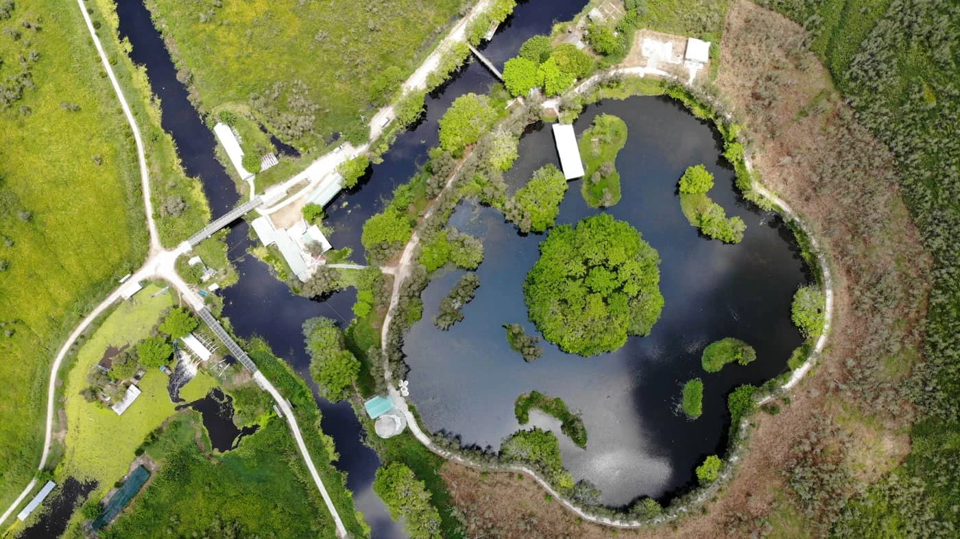 Kien Giang Vietnam: Wigo Tourist's 2025 Guide to a Coastal Paradise 15 U Minh Thuong National Park - A New Attractive Destination in Kien Giang